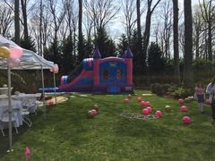 Princess Combo Slide Princess Combo Slide